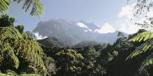 Malaysia tours